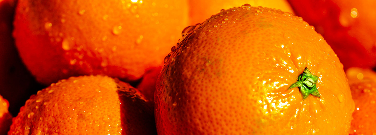 无限轰炸手机软件手机号下载